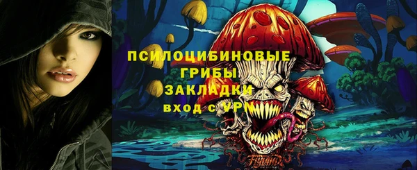 спайс Алексин