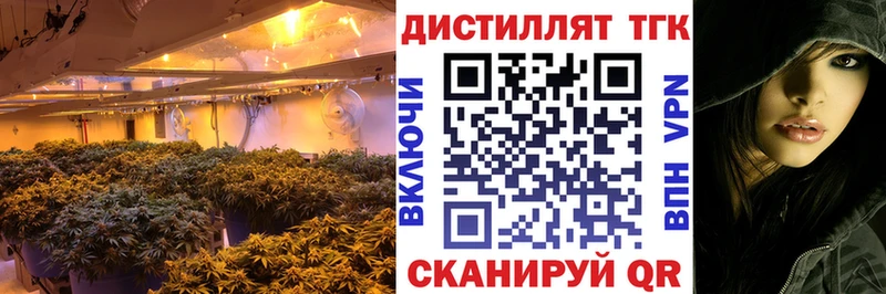 ТГК гашишное масло  Котельнич 