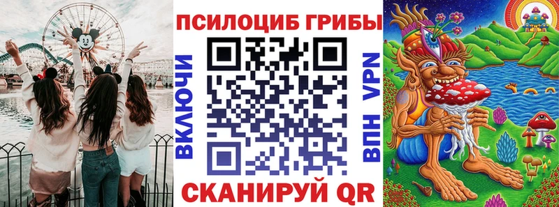 МЕГА ССЫЛКА  Котельнич  Псилоцибиновые грибы ЛСД  где можно купить  
